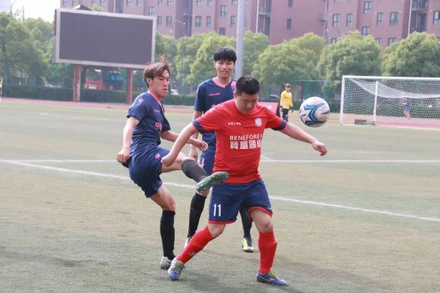 2026宁夏银川马拉松报名人数突破历史新高